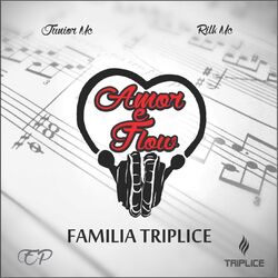 Cover of Amor e Flow