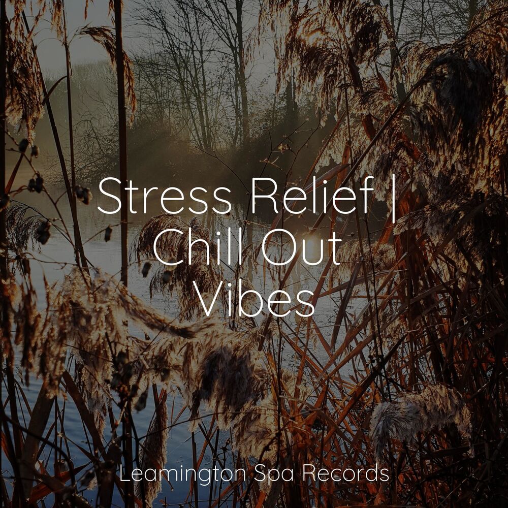 Picture of Stress Relief | Chill Out Vibes
