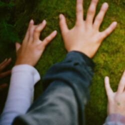 Cover of you can hold the stars until they burn right through your hands