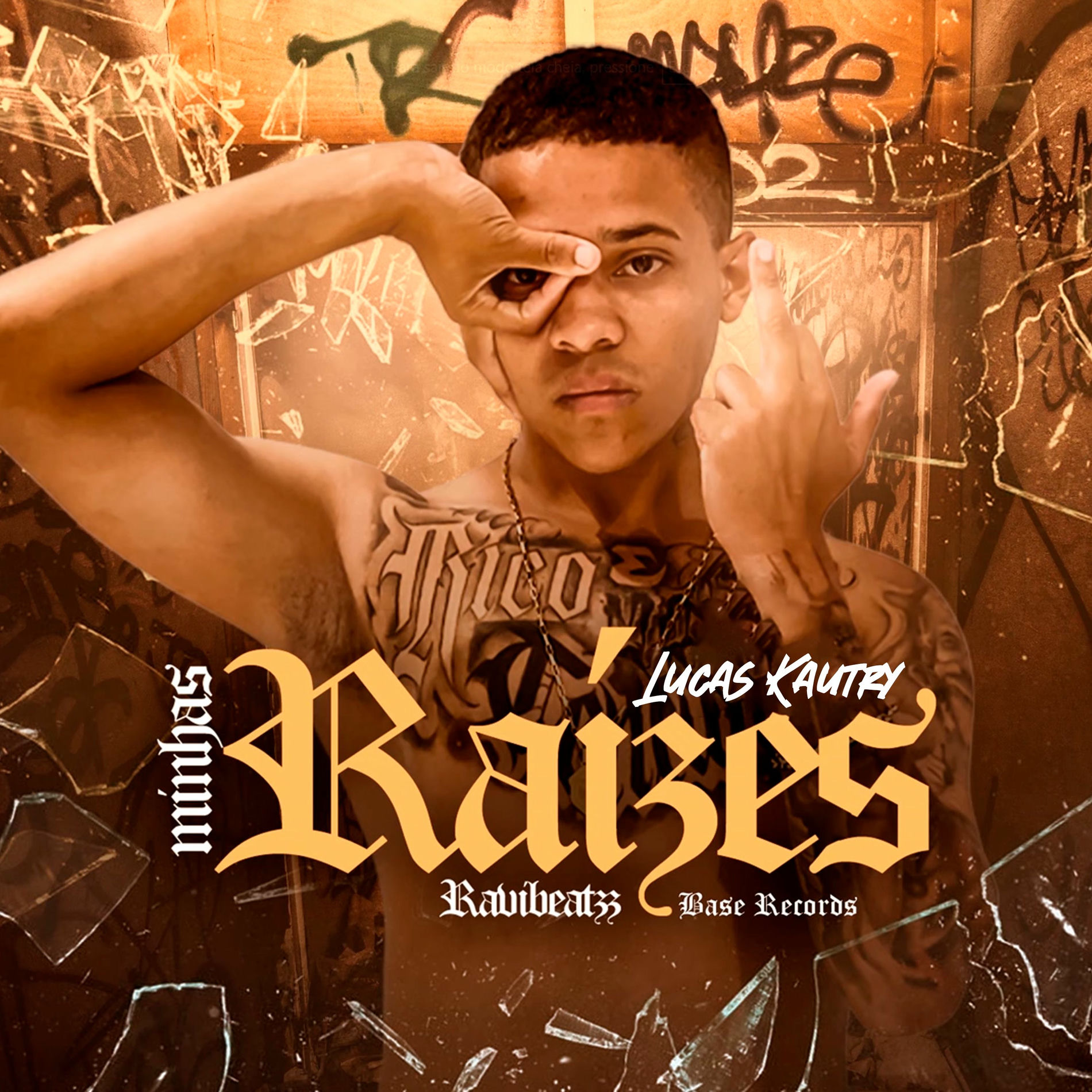 Album cover of Minhas Raízes