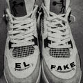 El FAKE