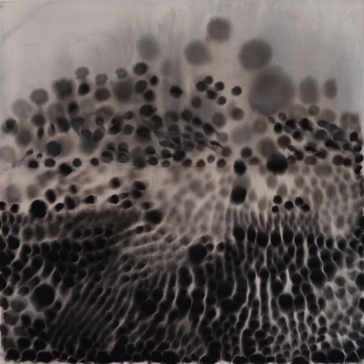 Album cover of Siemeniä