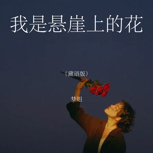 我是悬崖上的花 (藏语版)