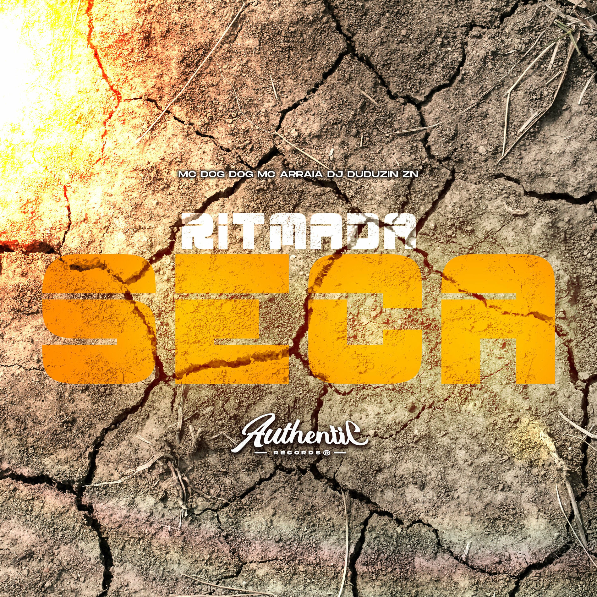 Album cover of Ritmada Seca