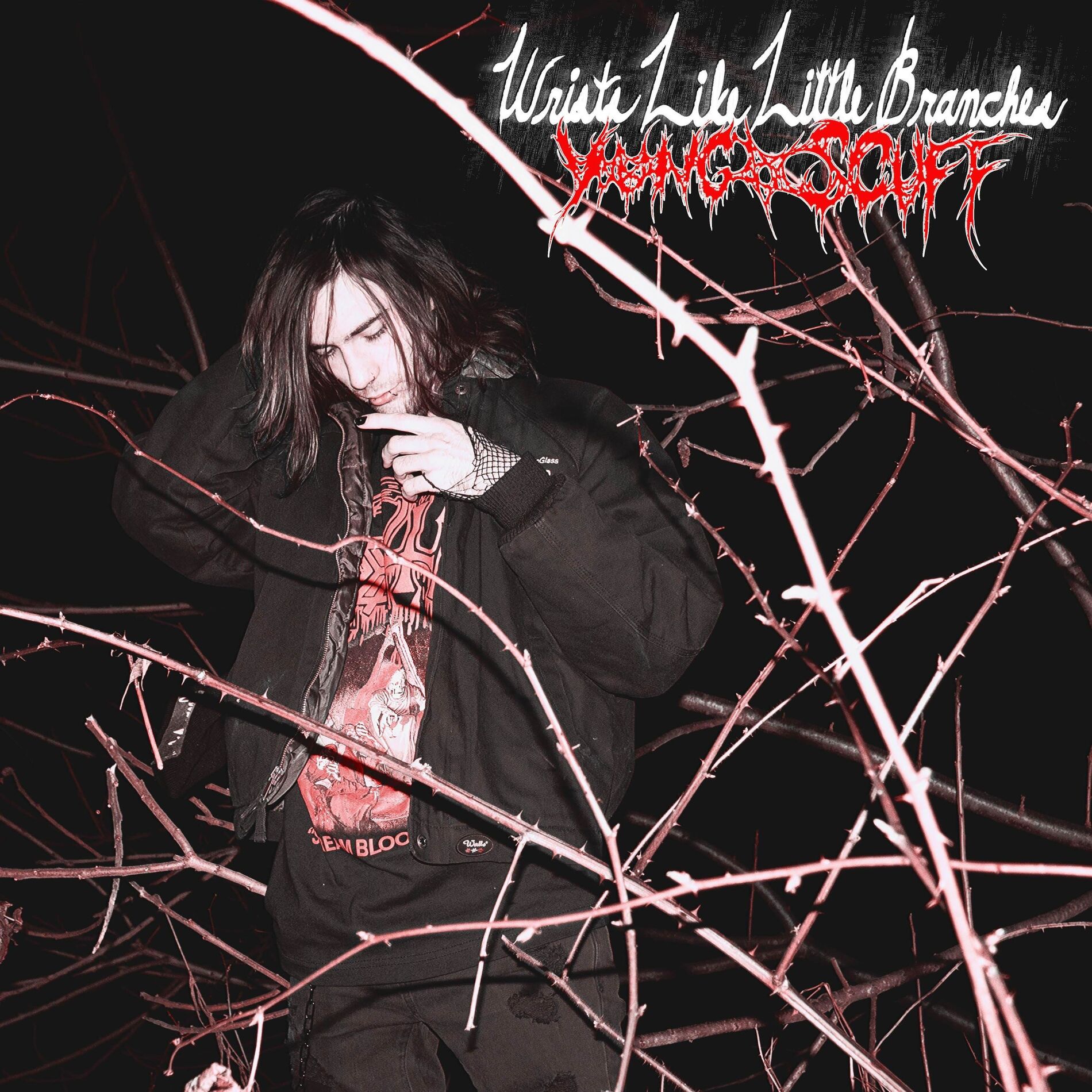 Album cover of Wrists like Little Branches