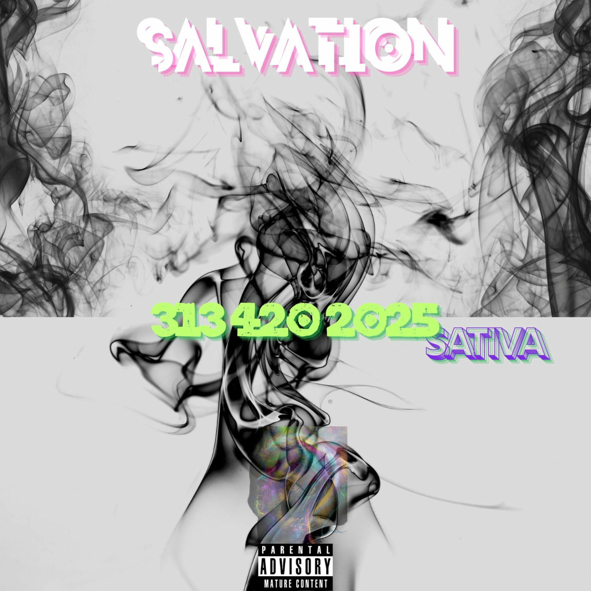 Album cover of 3134202025 SATIVA