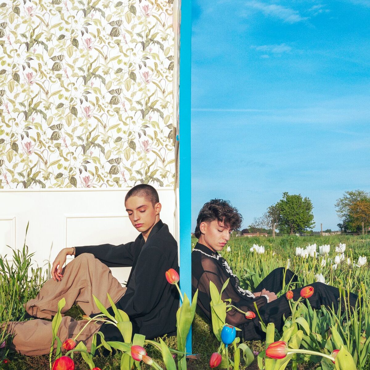Album cover of Tulipani Blu