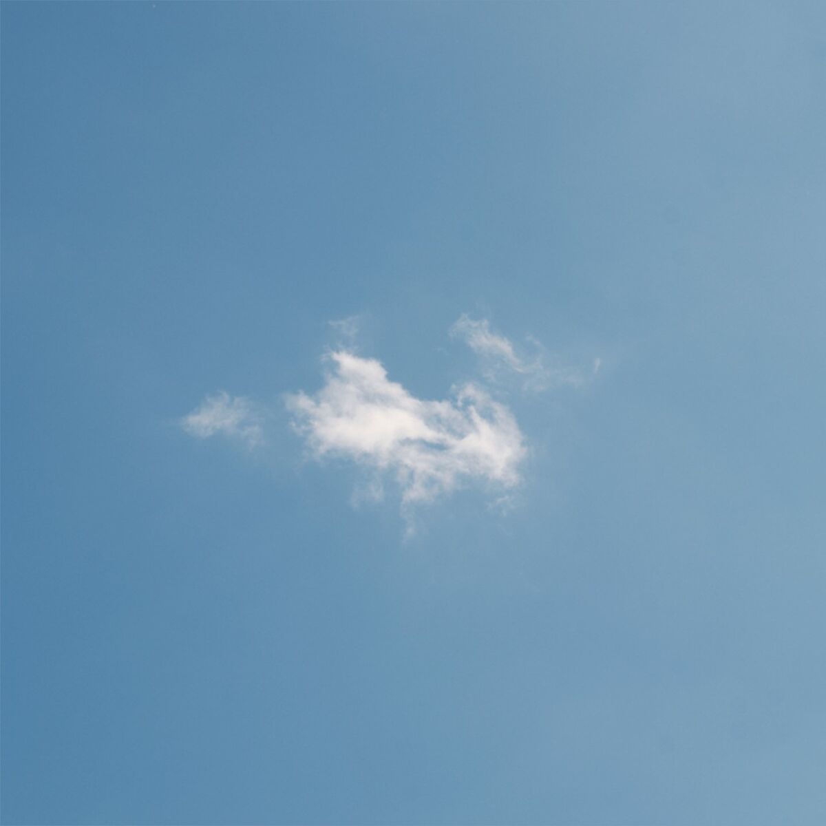 Album cover of Rameau, etc
