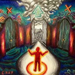 Cover of V