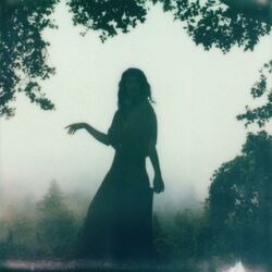 Cover of Looking Glass