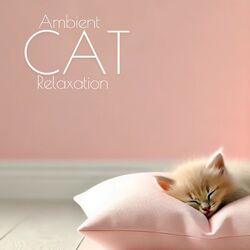 Cover of Ambient Cat Relaxation: Midnight Sleeping, Cat Music, Meditation Wellness for Cats