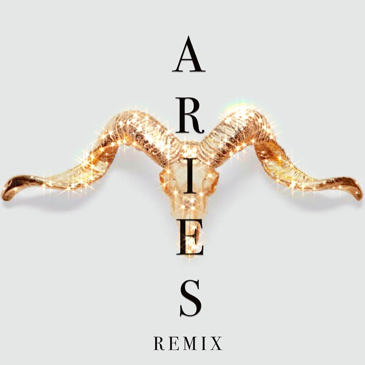Album cover of Aries (Remix)
