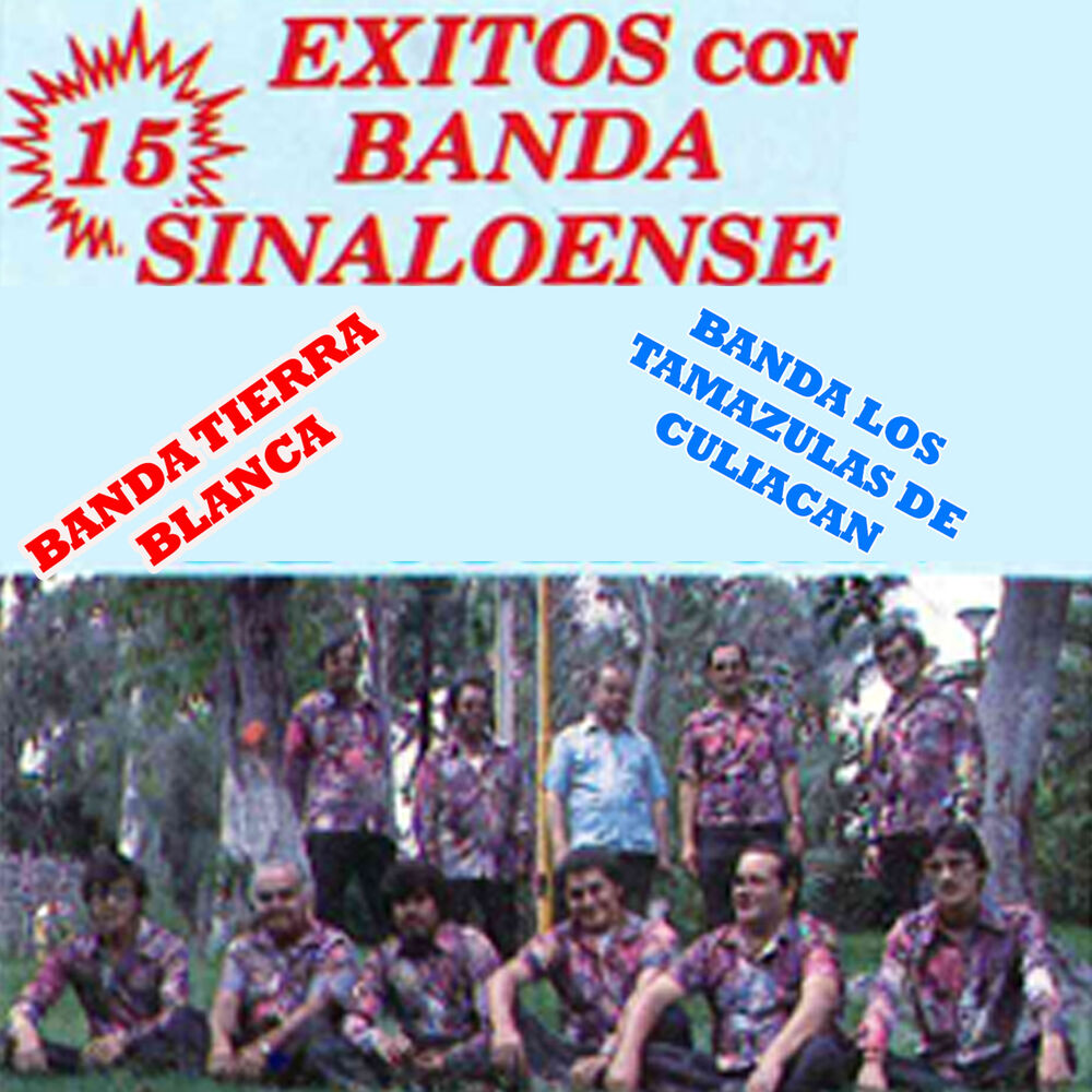 Picture of 15 Exitos Con Banda Sinaloense