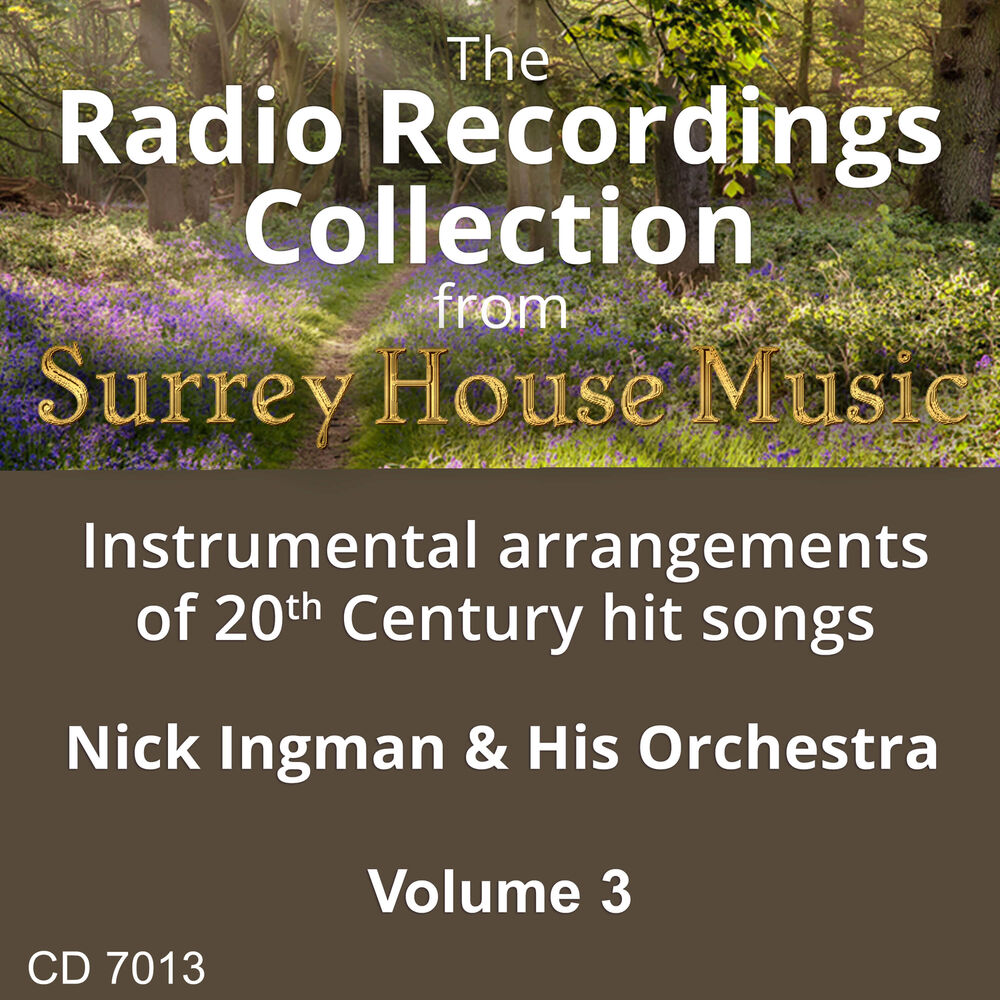 Picture of Nick Ingman & His Orchestra, Vol. 3