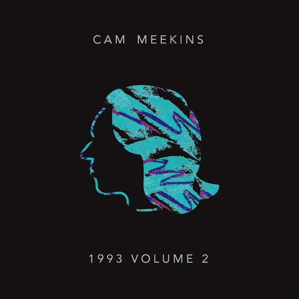 Picture of 1993, Vol. 2