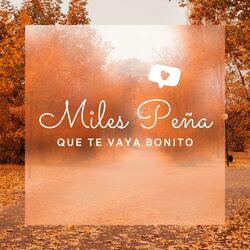 Cover of Que Te Vaya Bonito