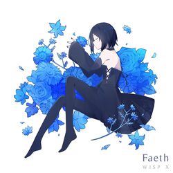 Cover of Faeth