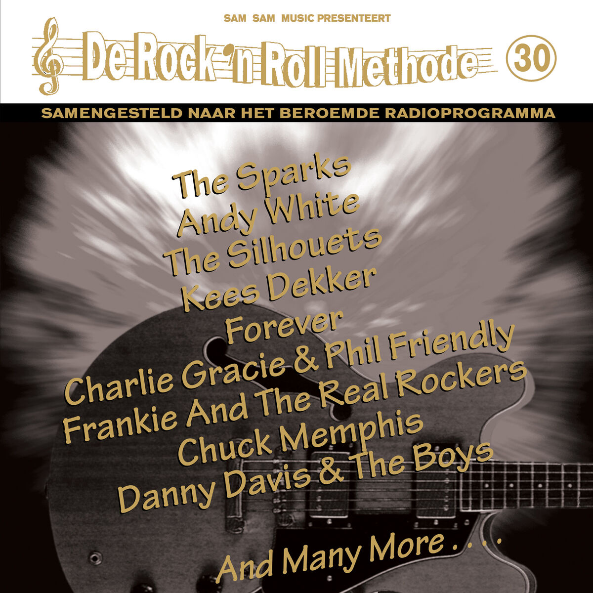 Album cover of De Rock 'N Roll Methode, Vol. 30
