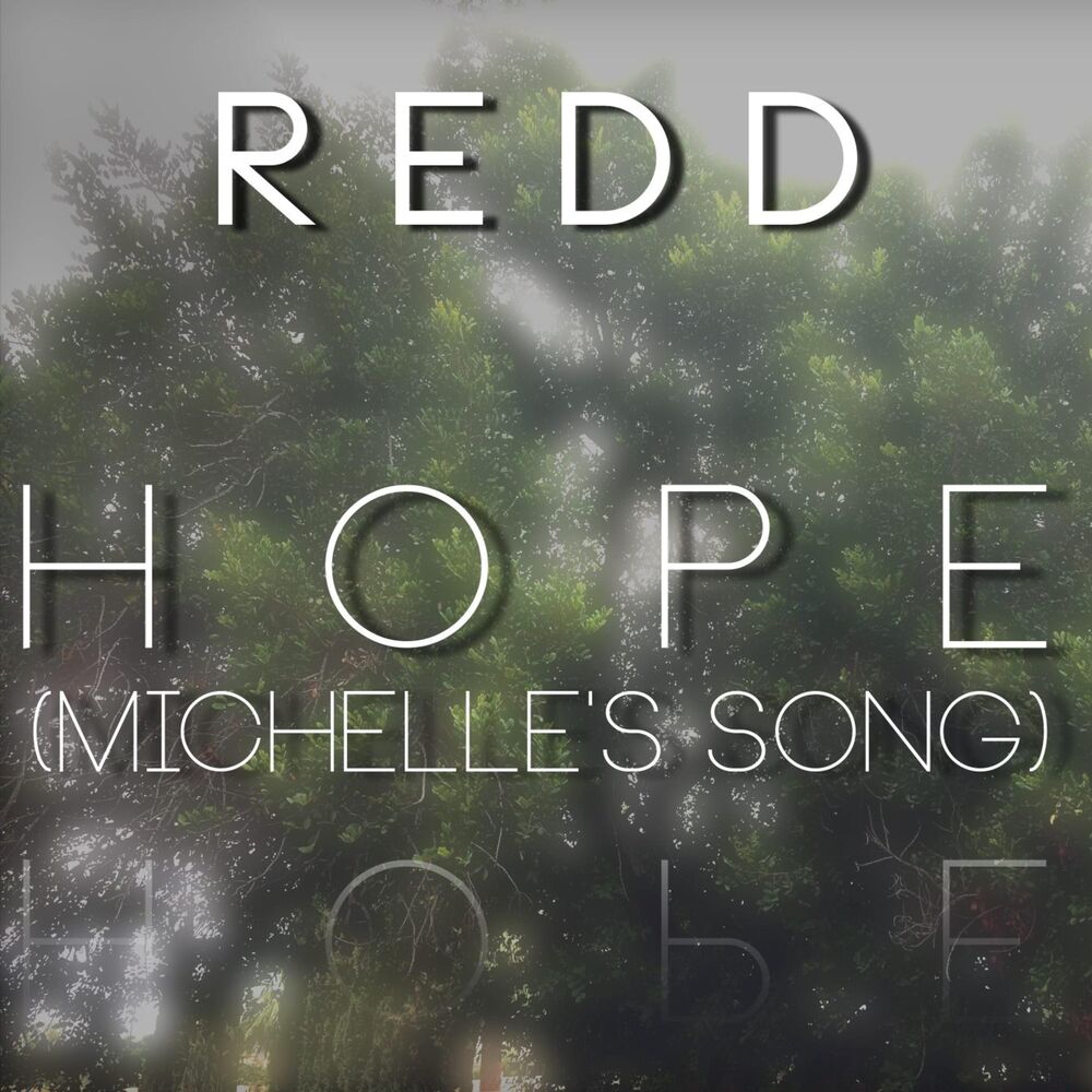 Picture of Hope (Michelle's Song)