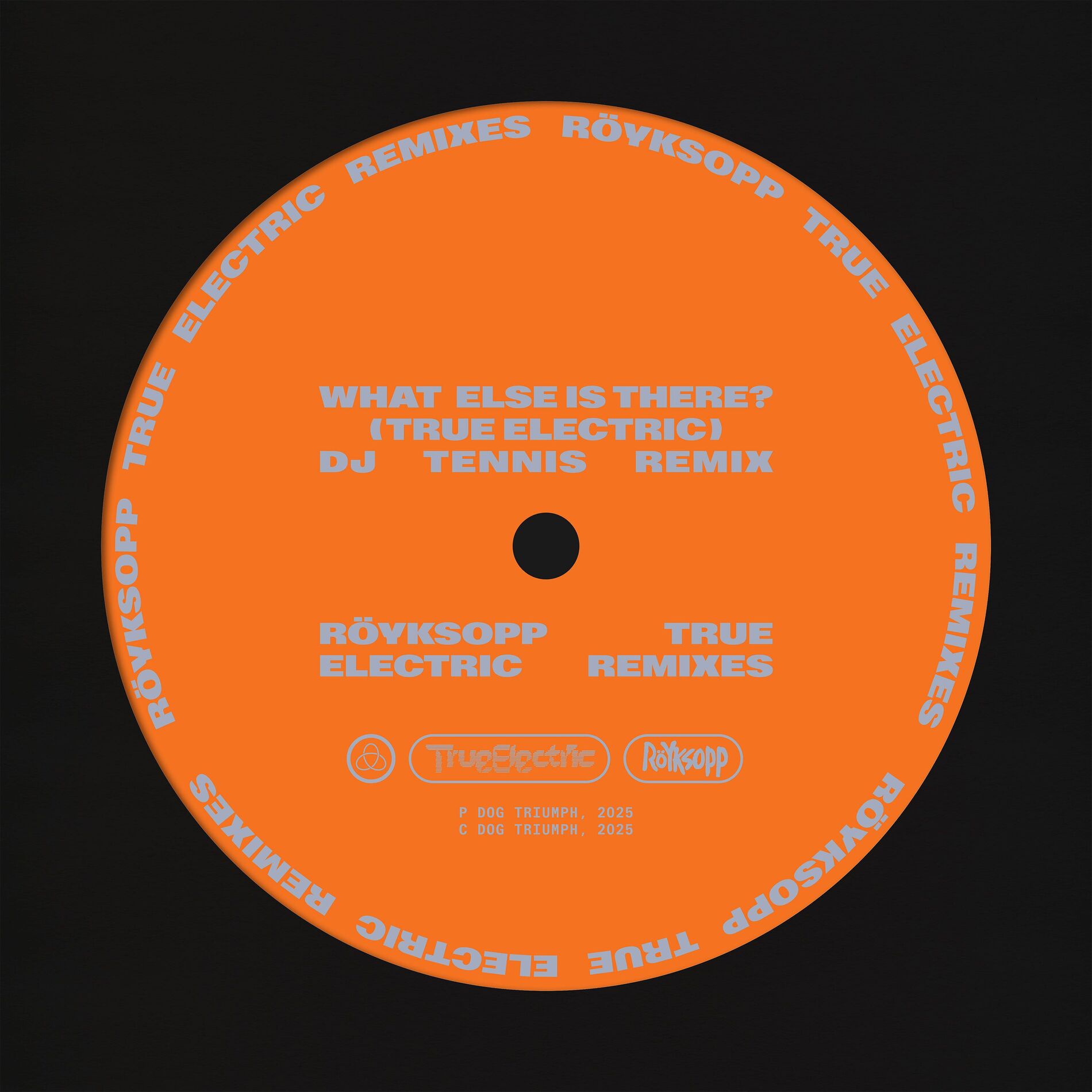 Album cover of What Else Is There? (DJ Tennis Remix)