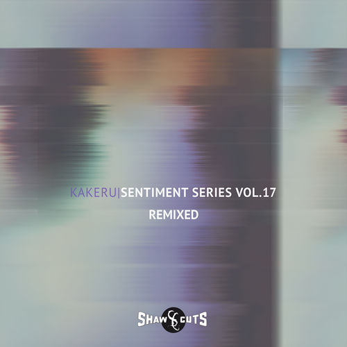 Sentiment Series Vol.17 - Remixed artwork