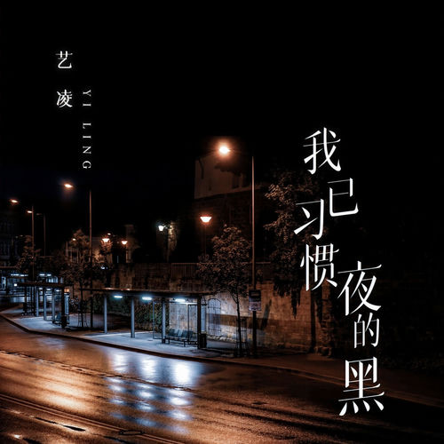 我已习惯夜的黑(DJ版)