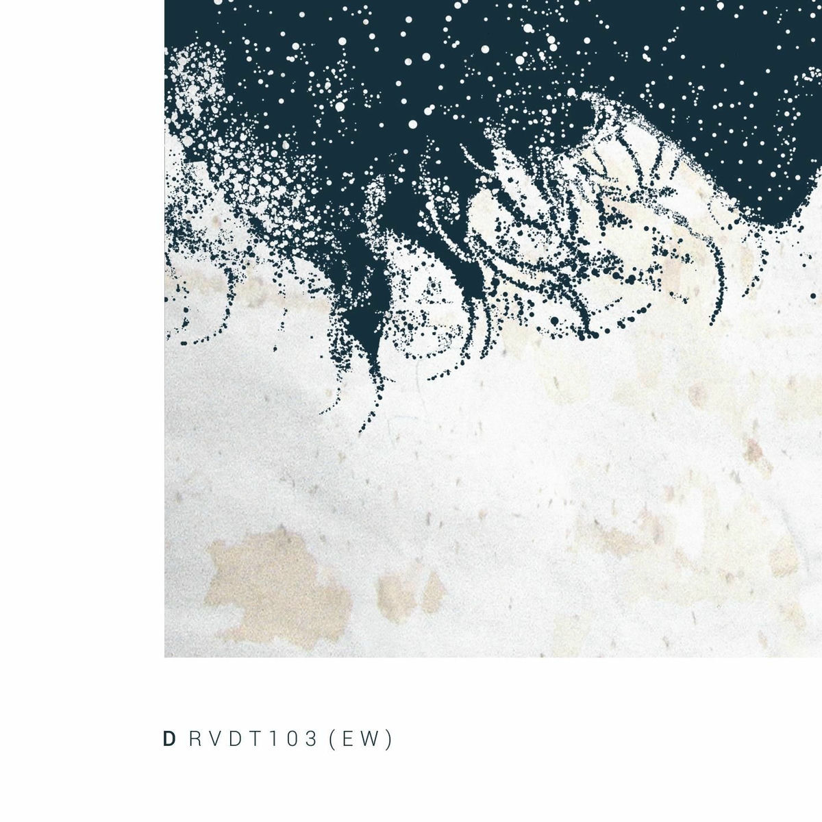 Album cover of RVDT103 (Empty Workshop)