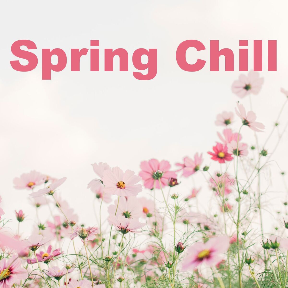 Album cover of Spring Chill