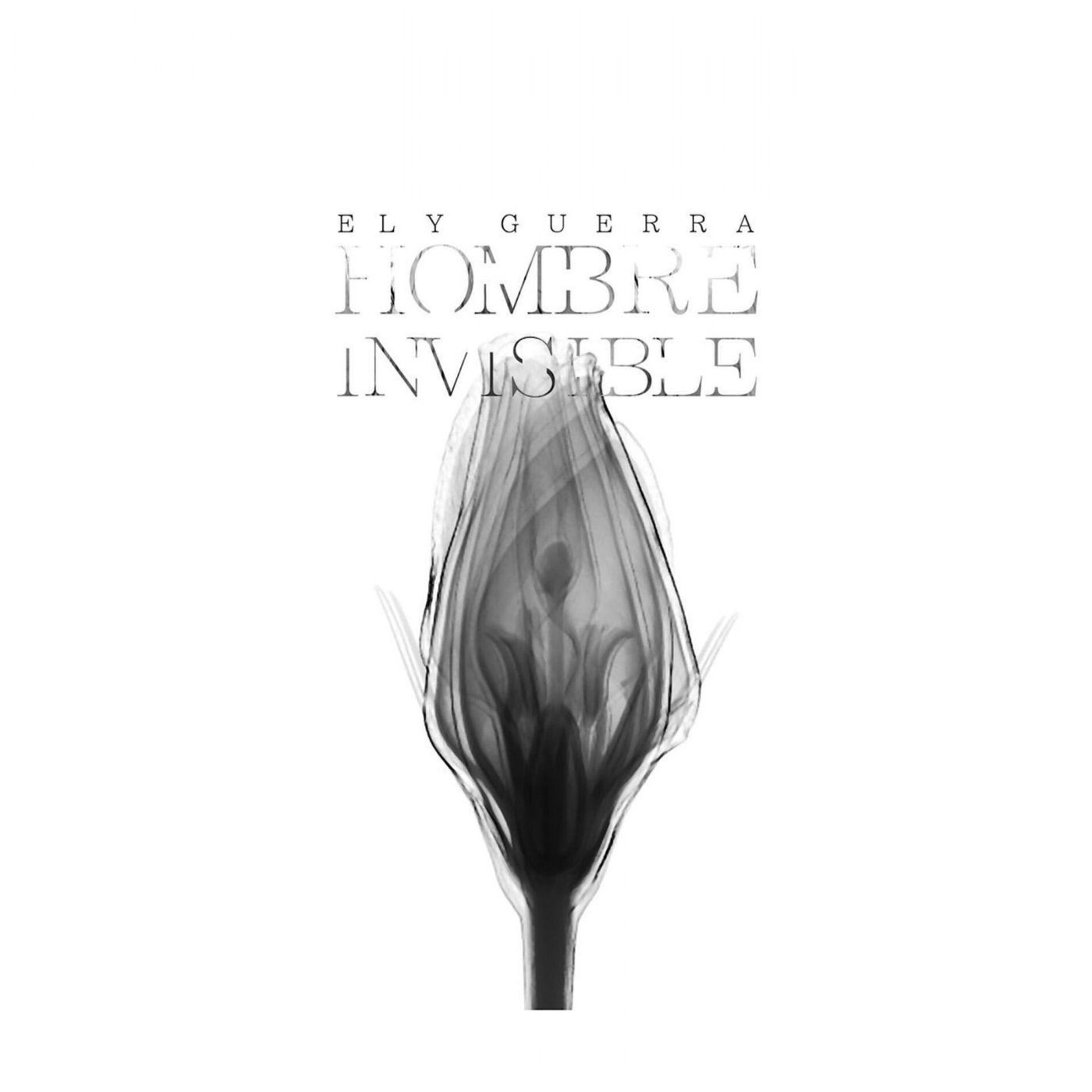 Album cover of Colmena