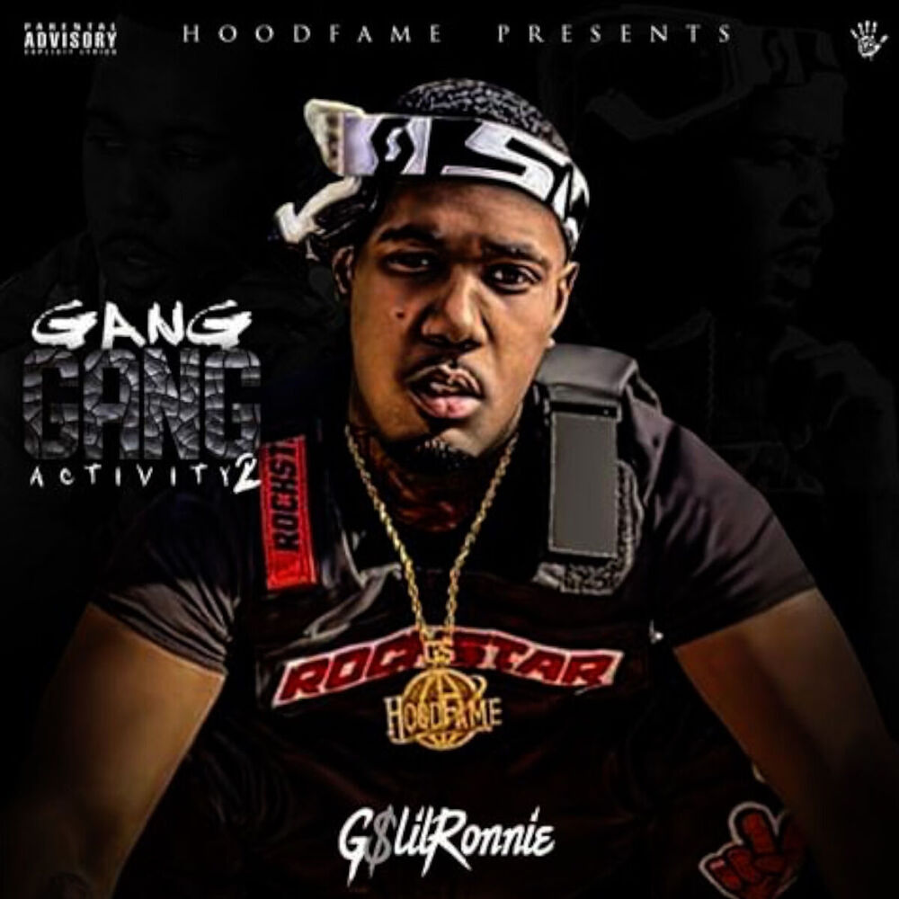 Picture of Gang Gang Activity 2