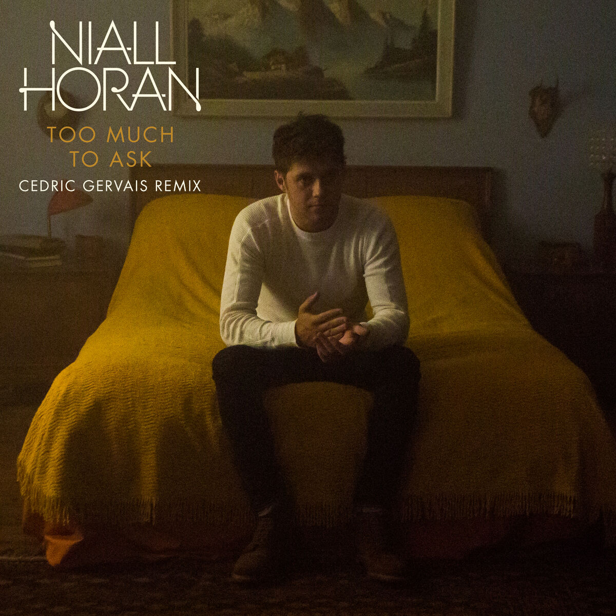 Album cover of Too Much To Ask