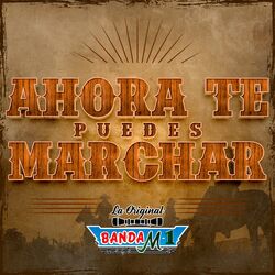 Ahora Te Puedes Marchar