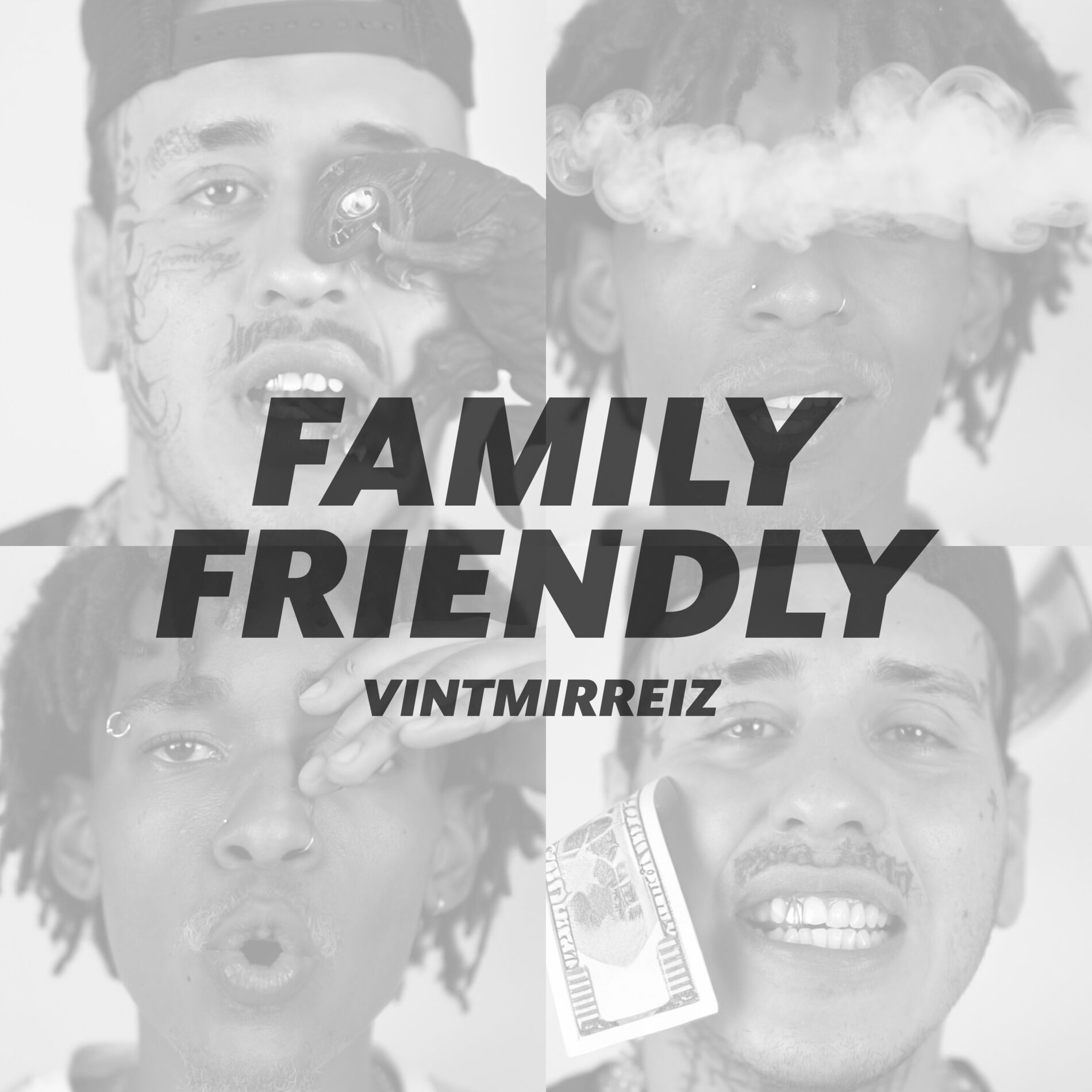Album cover of Family Friendly