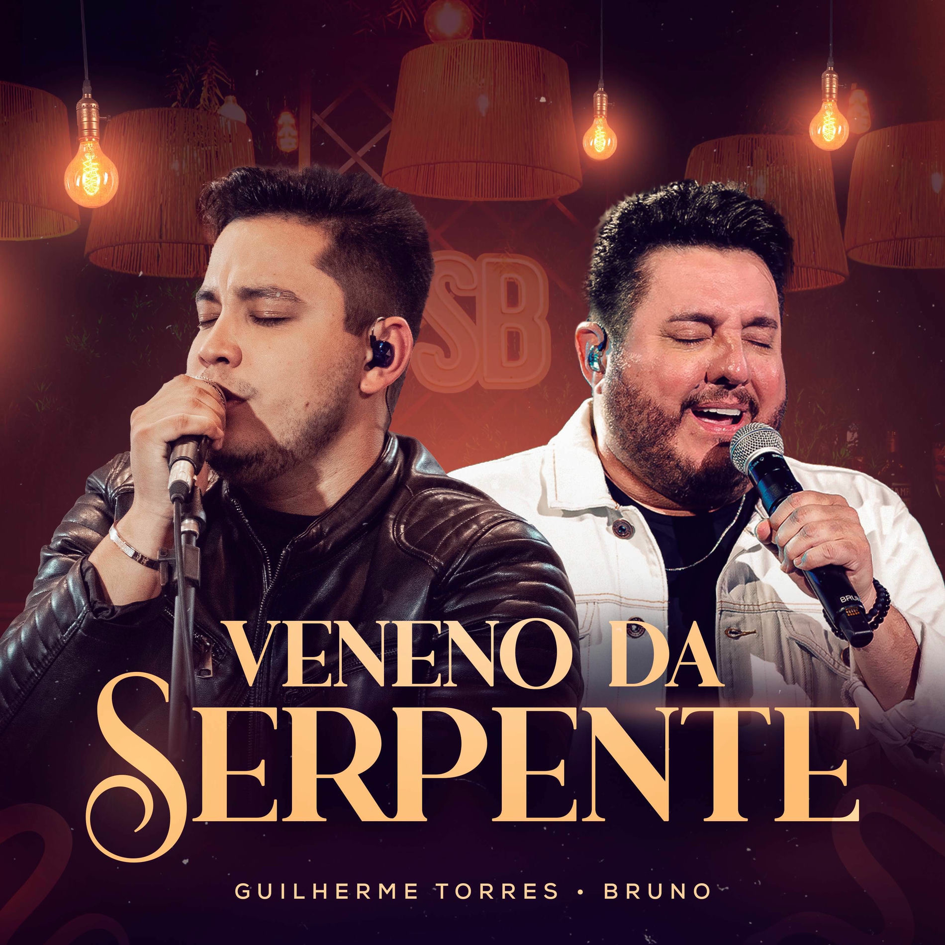 Album cover of Veneno da Serpente