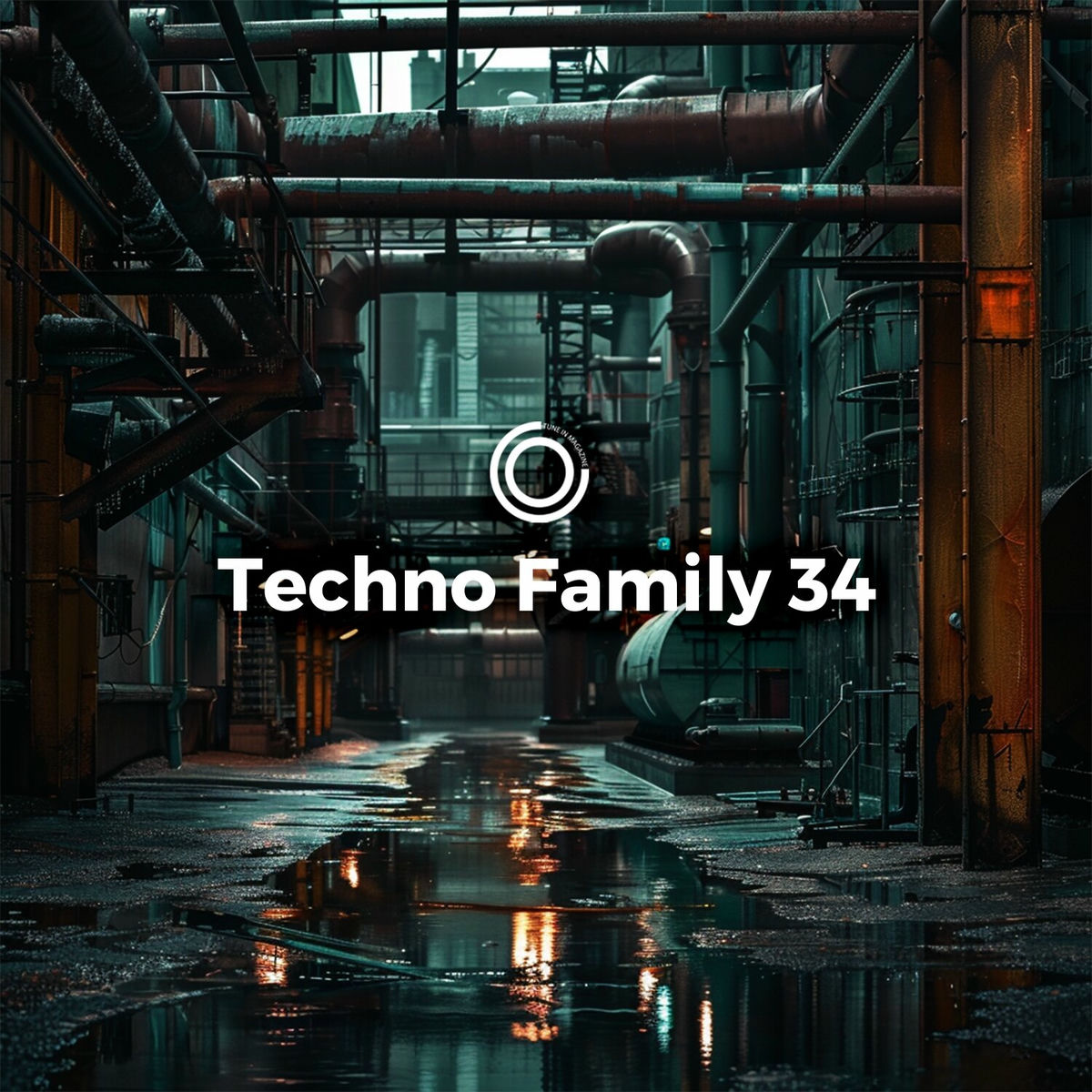 Album cover of Techno Family 34