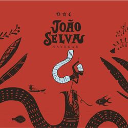 Cover of Navegar