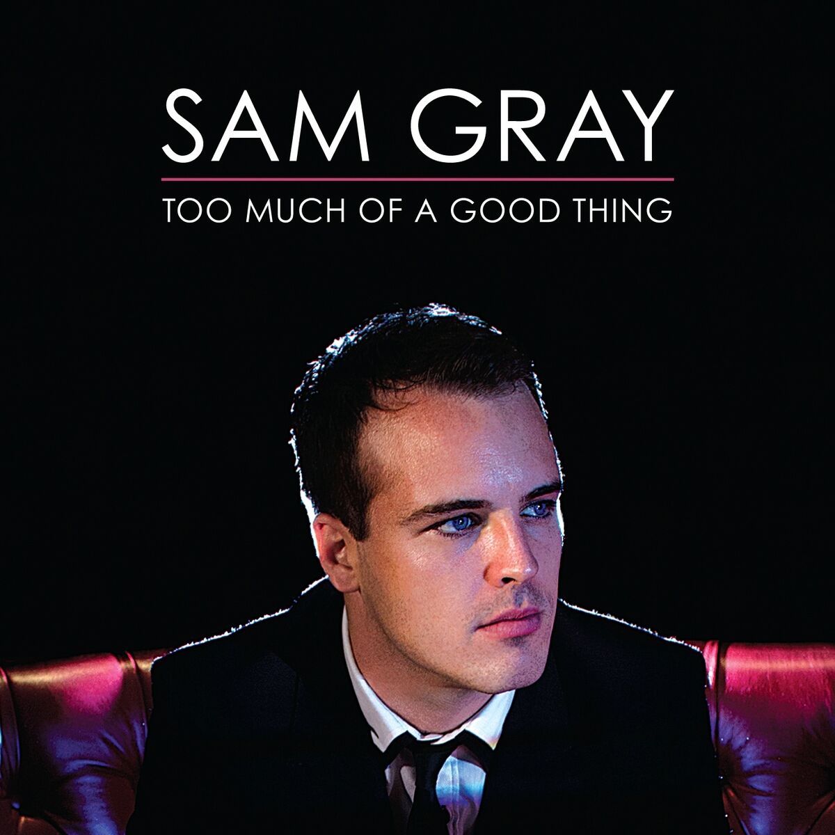 Album cover of Too Much Of A Good Thing