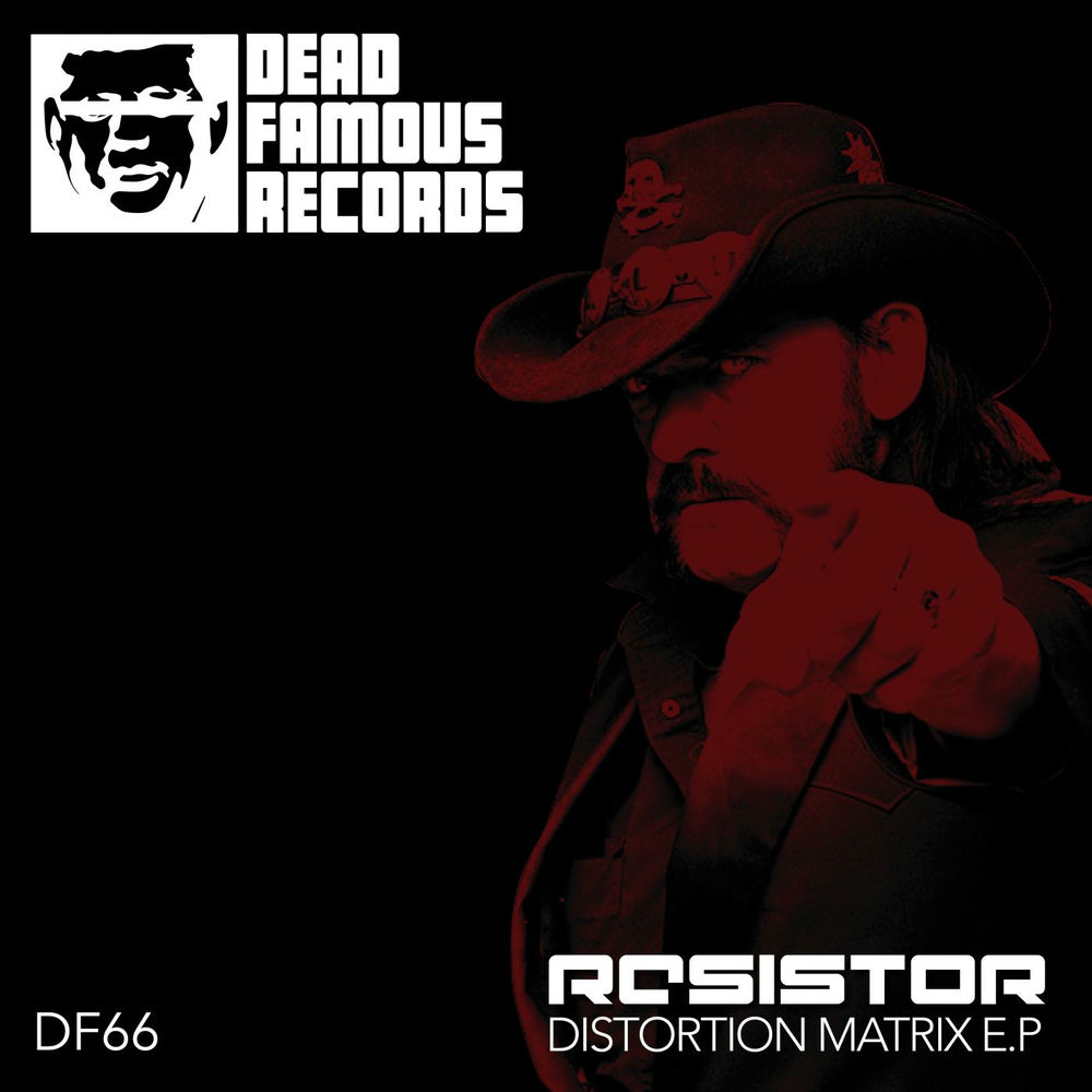 Picture of Distortion Matrix E.P