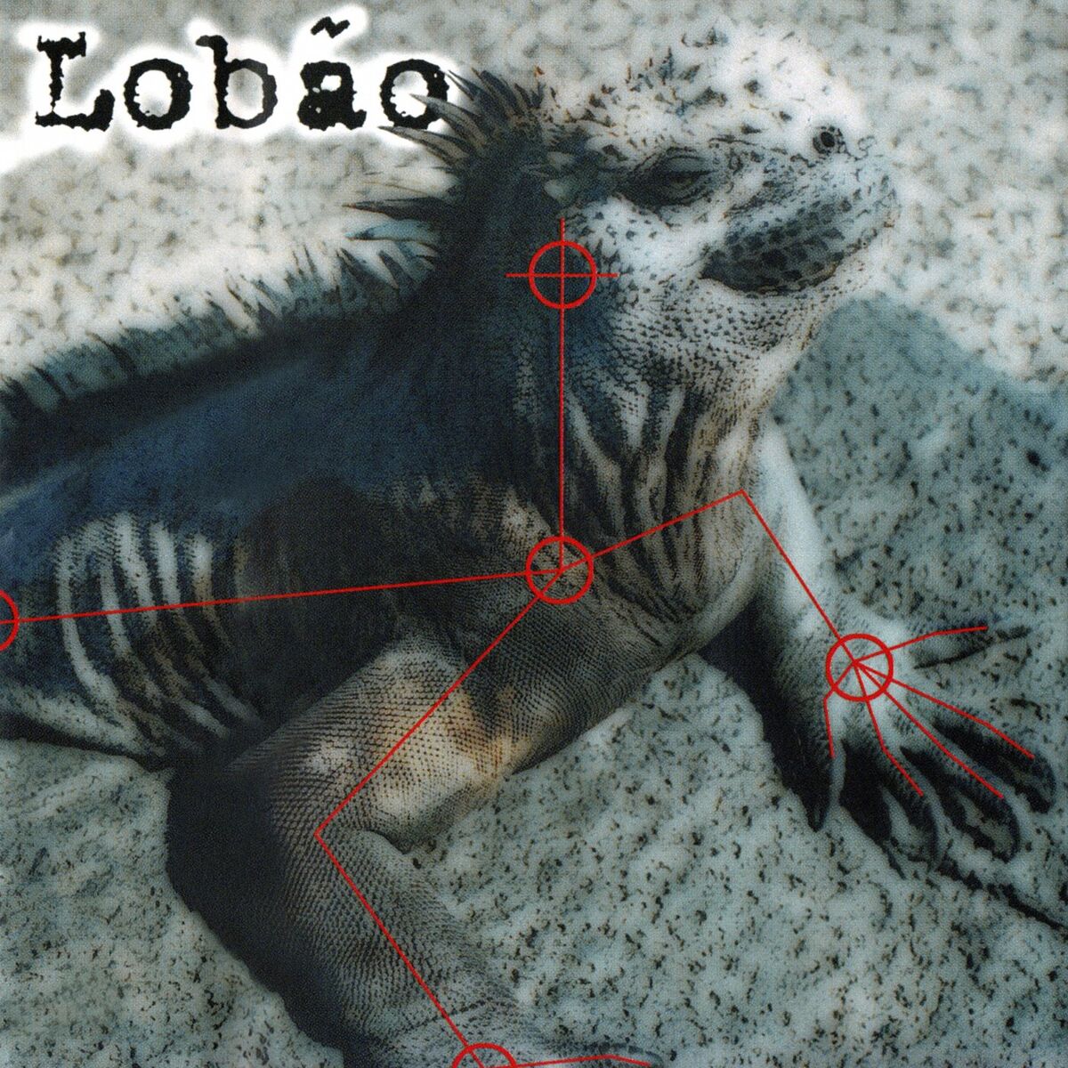 Album cover of Noite
