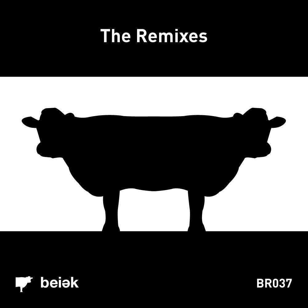 Picture of The Remixes