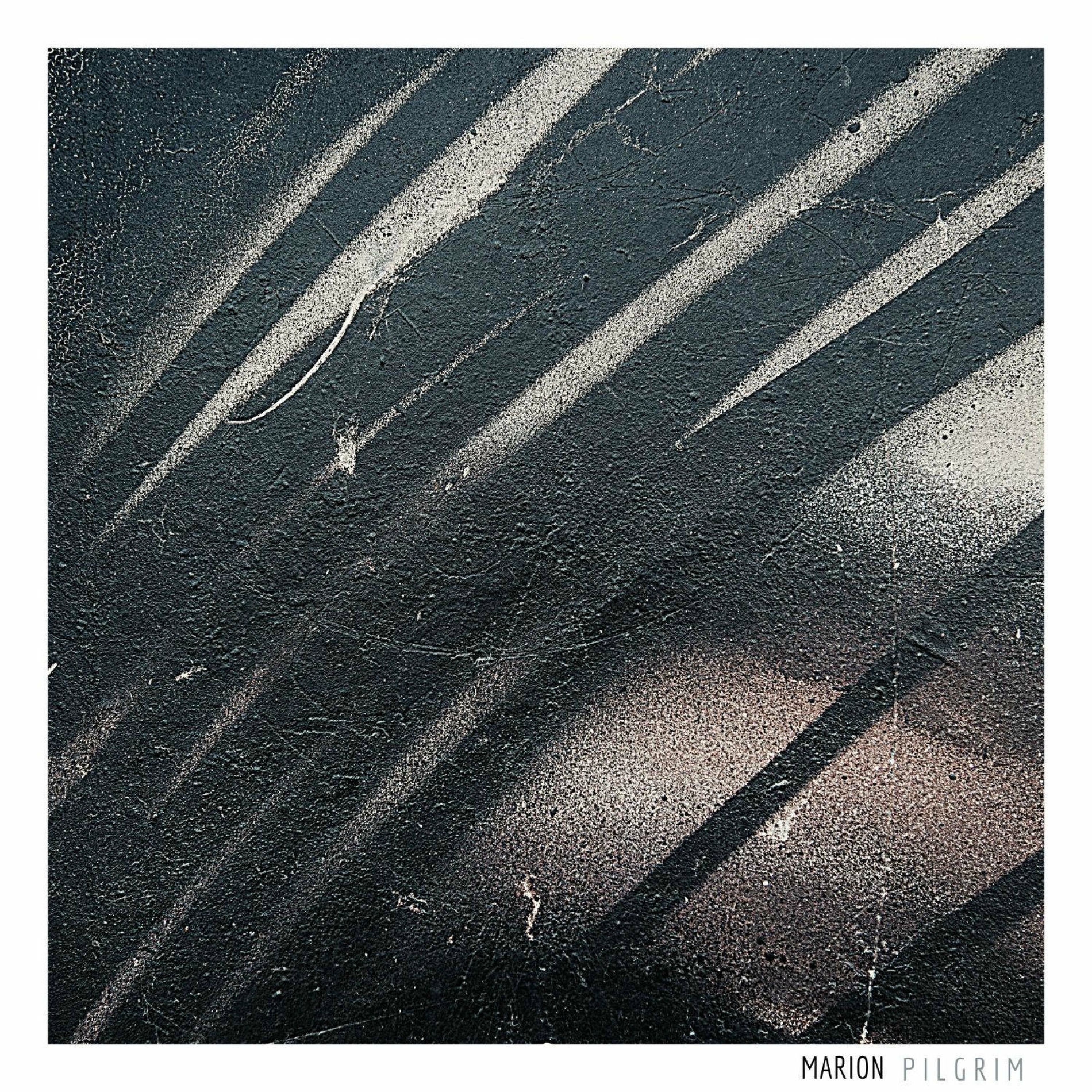 Album cover of Pilgrim