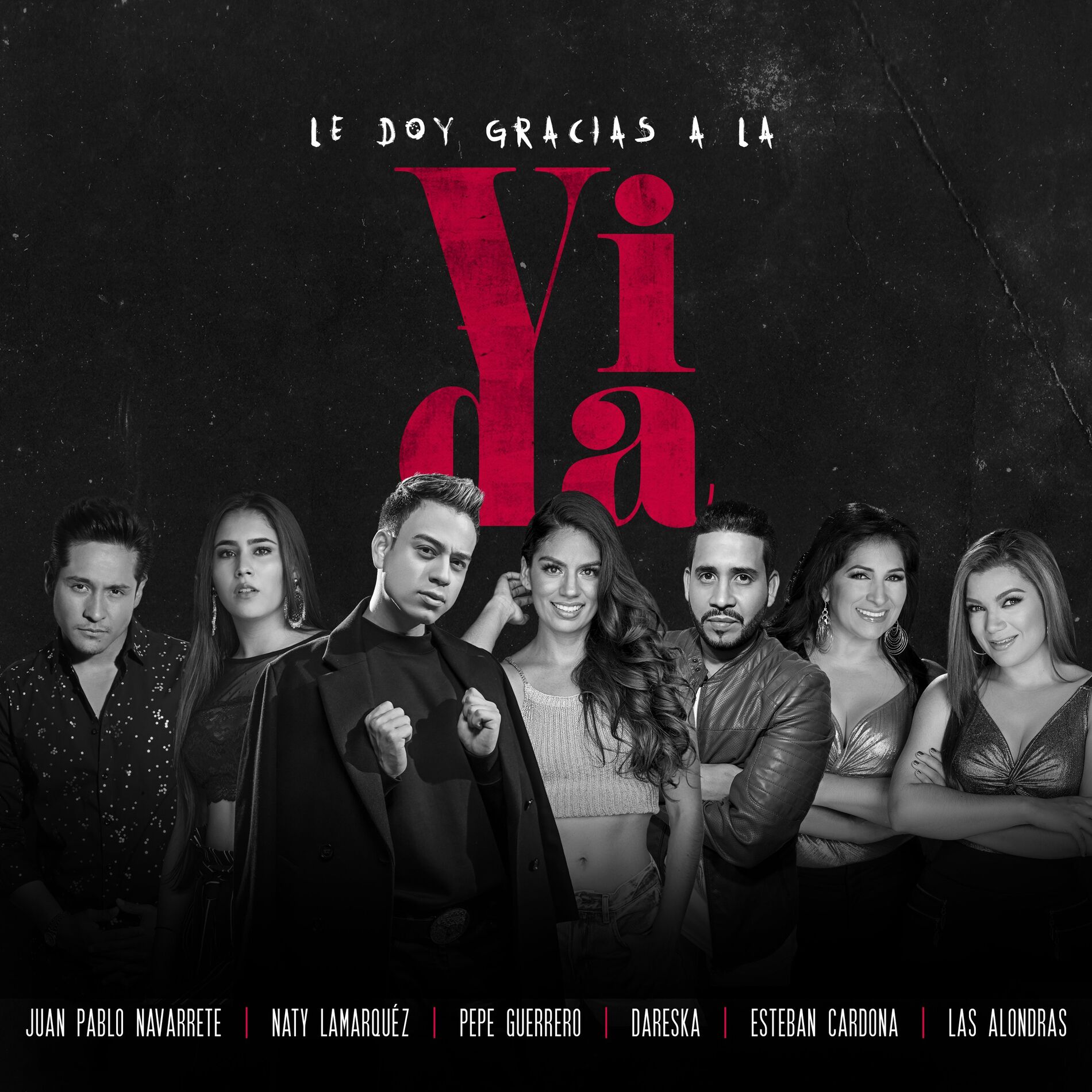 Album cover of Le Doy Gracias a la Vida (Remix)
