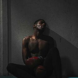 Cover of Ferro