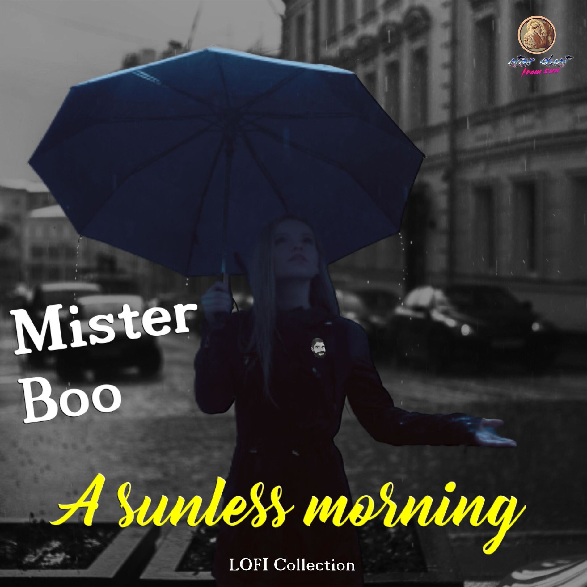 Album cover of A sunless Morning