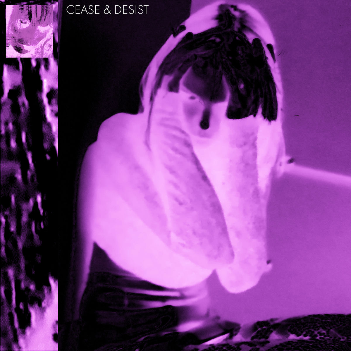 Album cover of CEASE AND DESIST