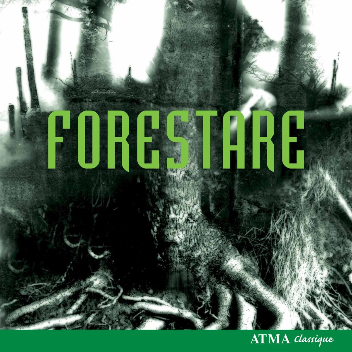 Album cover of Forestare