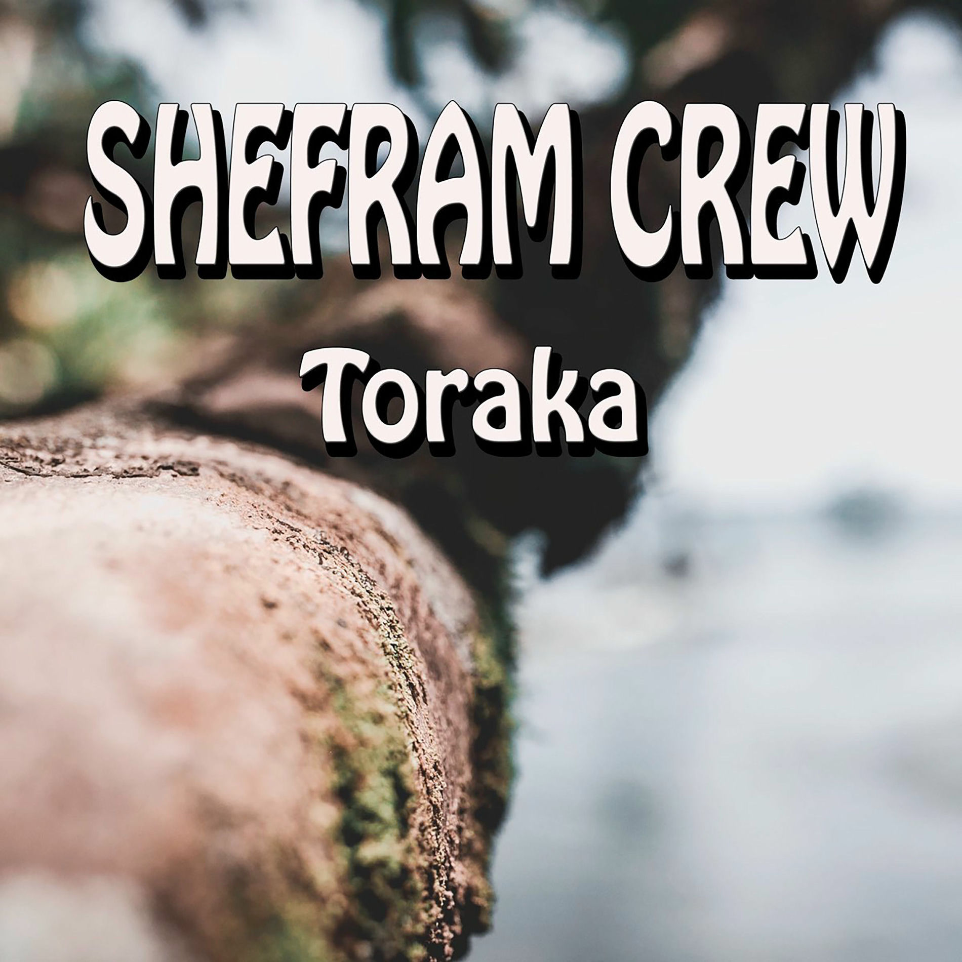 Album cover of Toraka