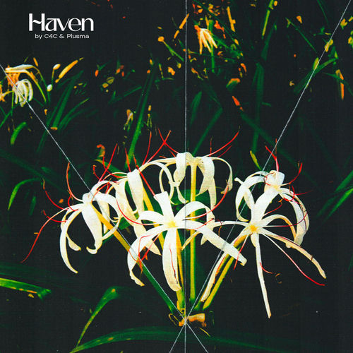 Haven