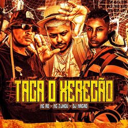 Cover of Taca o Xerecão