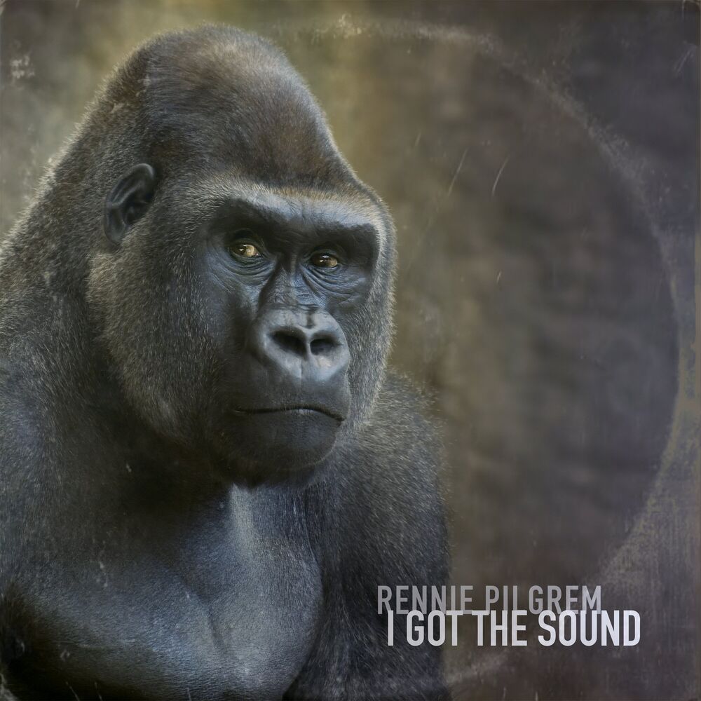 Picture of I Got The Sound